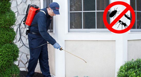 Karahallı Hamam Böceği İlaçlama böcek ilaçlama ve haşere kontrolü — ilaclama-tr.com